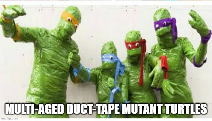 Heroes in a Wrapped Shell.... | MULTI-AGED DUCT-TAPE MUTANT TURTLES | image tagged in tmnt | made w/ Imgflip meme maker