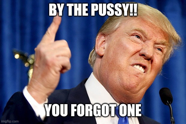 Donald Trump | BY THE PUSSY!! YOU FORGOT ONE | image tagged in donald trump | made w/ Imgflip meme maker