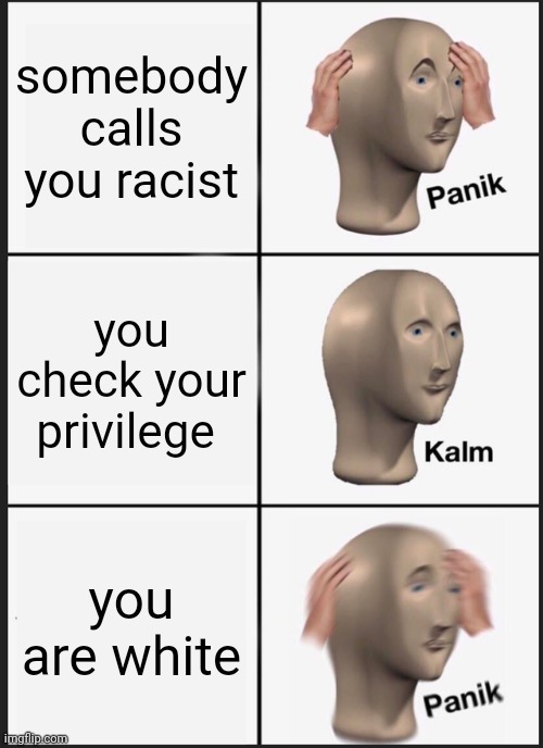 Panik Kalm Panik | somebody calls you racist; you check your privilege; you are white | image tagged in memes,panik kalm panik | made w/ Imgflip meme maker