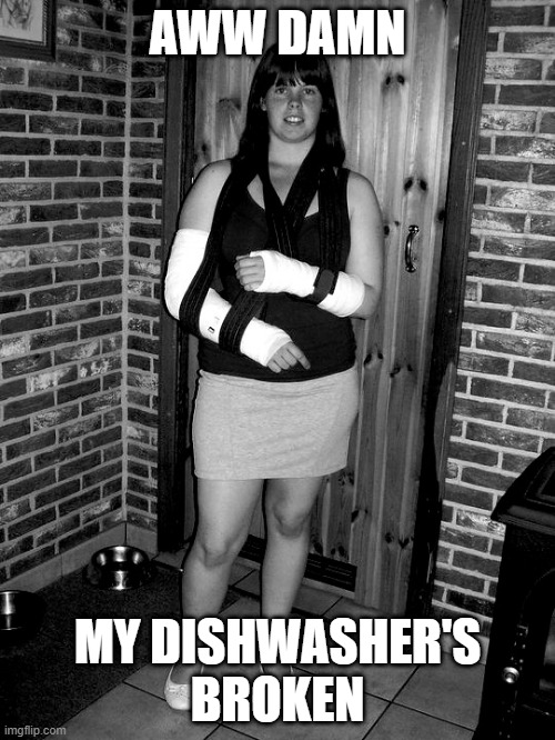 Need Repairs! | AWW DAMN; MY DISHWASHER'S BROKEN | image tagged in dishwasher,bad joke | made w/ Imgflip meme maker