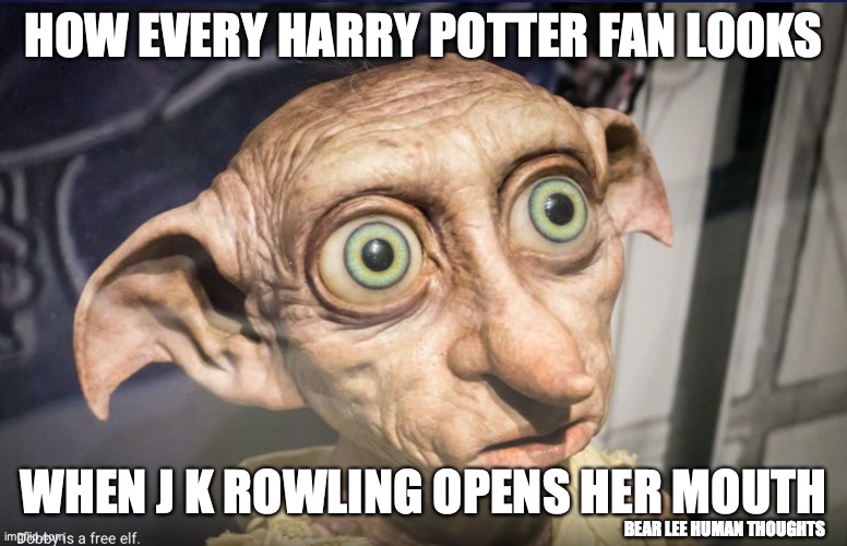 shocked free elf | HOW EVERY HARRY POTTER FAN LOOKS; WHEN J K ROWLING OPENS HER MOUTH; BEAR LEE HUMAN THOUGHTS | image tagged in harry potter | made w/ Imgflip meme maker