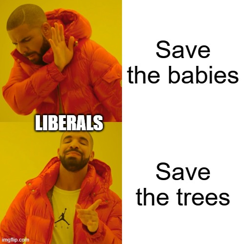 Drake Hotline Bling | Save the babies; LIBERALS; Save the trees | image tagged in memes,drake hotline bling | made w/ Imgflip meme maker