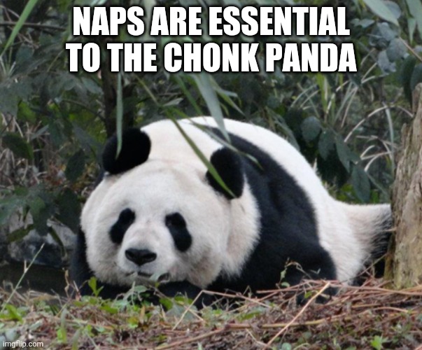NAPS ARE ESSENTIAL TO THE CHONK PANDA | made w/ Imgflip meme maker