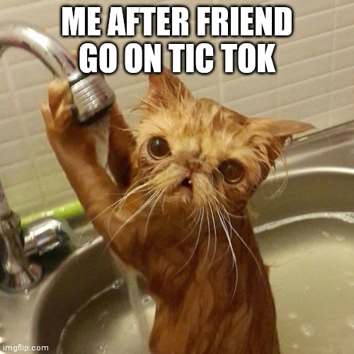 this had better be important | ME AFTER FRIEND GO ON TIC TOK | image tagged in this had better be important | made w/ Imgflip meme maker