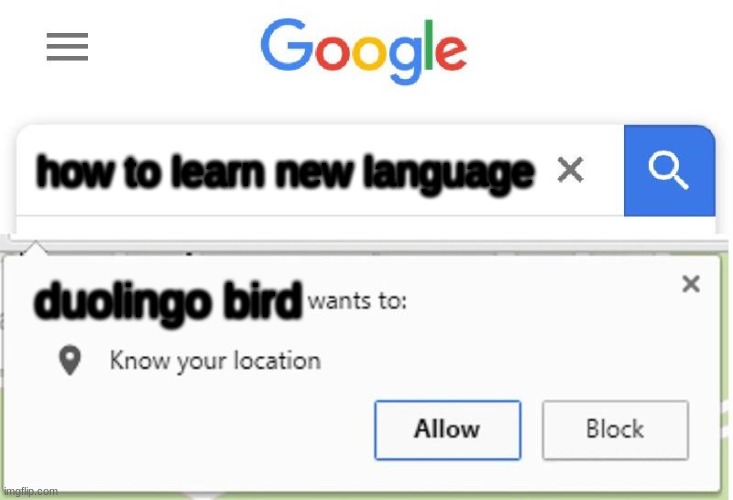 Wants to know your location | how to learn new language duolingo bird | image tagged in wants to know your location | made w/ Imgflip meme maker