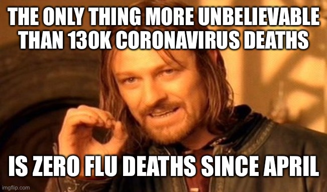 One Does Not Simply |  THE ONLY THING MORE UNBELIEVABLE THAN 130K CORONAVIRUS DEATHS; IS ZERO FLU DEATHS SINCE APRIL | image tagged in memes,one does not simply,coronavirus,lockdown,flu | made w/ Imgflip meme maker