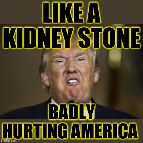 125 Thousand Americans, dead or dying ALONE!  And, this asshole is holding another "feel good" COVID-19 rally, in New Hampshire! | LIKE A KIDNEY STONE; BADLY HURTING AMERICA | image tagged in trump unfit unqualified dangerous,sociopath,psychopath,trump is an asshole,selfish,covid 19 | made w/ Imgflip meme maker