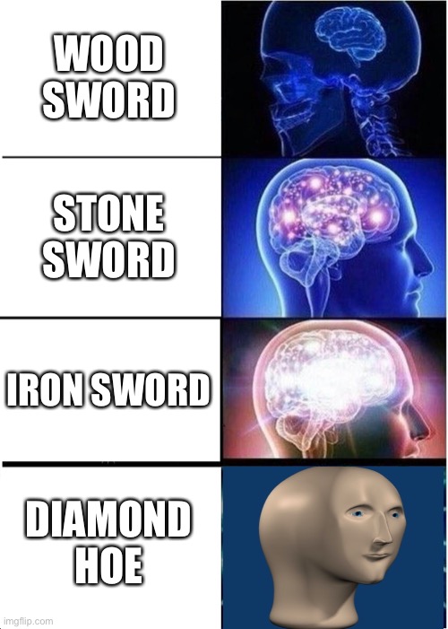 Expanding Brain | WOOD SWORD; STONE SWORD; IRON SWORD; DIAMOND HOE | image tagged in memes,expanding brain | made w/ Imgflip meme maker