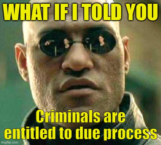 Why they lament the criminality of the black suspects killled by cops. | WHAT IF I TOLD YOU; Criminals are entitled to due process | image tagged in what if i told you,criminals,george floyd,conservative logic,black lives matter,law | made w/ Imgflip meme maker