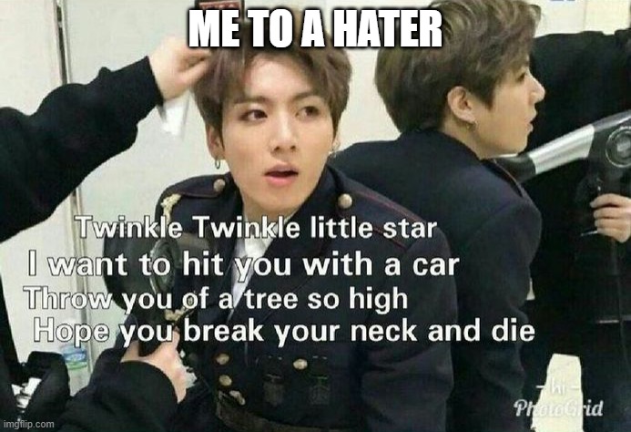 Send this to BTS haters | ME TO A HATER | image tagged in send this to bts haters | made w/ Imgflip meme maker