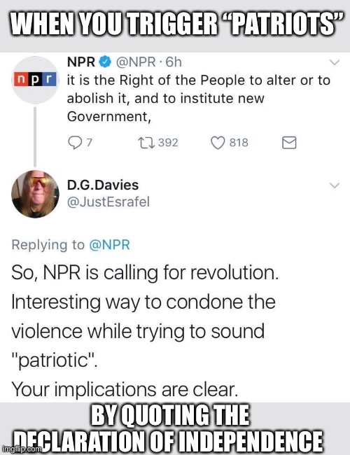 So angry about freedome | WHEN YOU TRIGGER “PATRIOTS”; BY QUOTING THE DECLARATION OF INDEPENDENCE | image tagged in npr,triggered,conservative | made w/ Imgflip meme maker