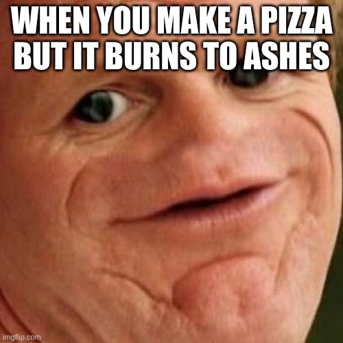SOSIG | WHEN YOU MAKE A PIZZA
BUT IT BURNS TO ASHES | image tagged in sosig | made w/ Imgflip meme maker