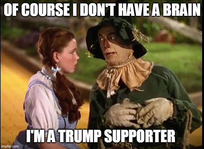 Wizard of OZ 2020 | OF COURSE I DON'T HAVE A BRAIN; I'M A TRUMP SUPPORTER | image tagged in wizard of oz scarecrow dorothy,donald trump,trump supporters,republicans,wizard of oz scarecrow | made w/ Imgflip meme maker