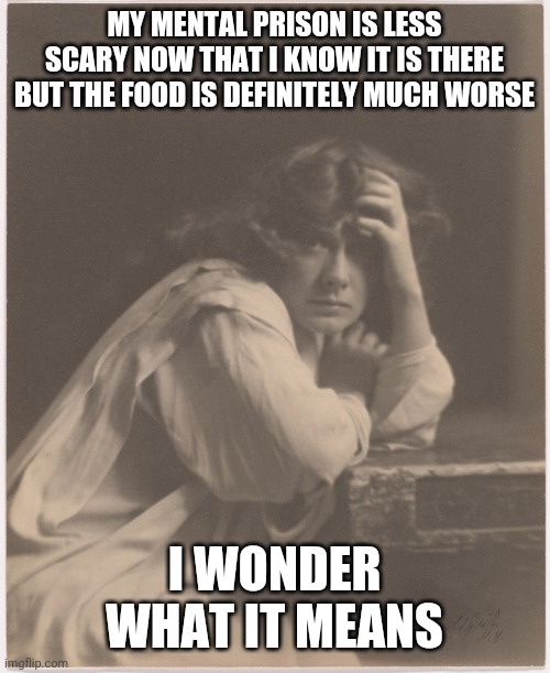 One more for good measure. Get it (below)? | MY MENTAL PRISON IS LESS SCARY NOW THAT I KNOW IT IS THERE BUT THE FOOD IS DEFINITELY MUCH WORSE; I WONDER WHAT IT MEANS | image tagged in the feminist thinker,mind,map is not territory,template inspired run,basically a guy,ok not that | made w/ Imgflip meme maker