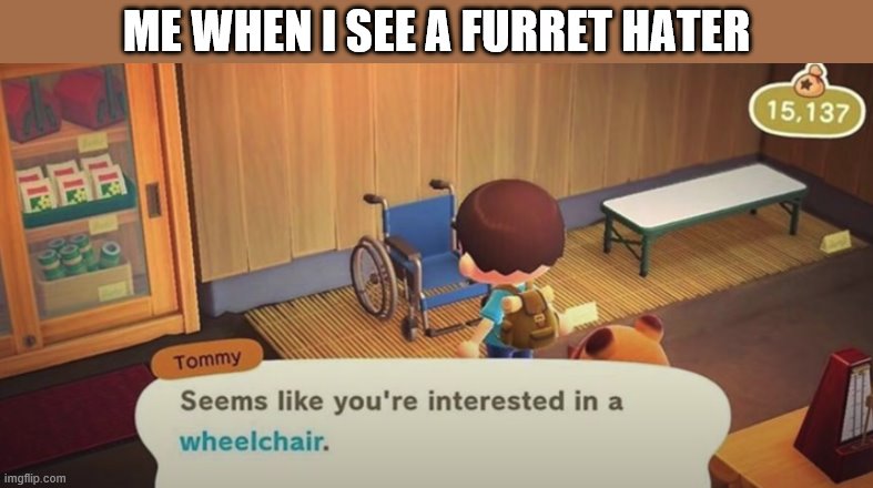 Seems like you're interested in a wheelchair | ME WHEN I SEE A FURRET HATER | image tagged in seems like you're interested in a wheelchair,i'm 15 so don't try it,who reads these | made w/ Imgflip meme maker