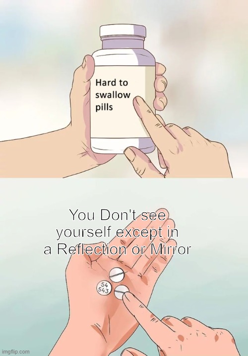 True | You Don't see yourself except in a Reflection or Mirror | image tagged in memes,hard to swallow pills | made w/ Imgflip meme maker