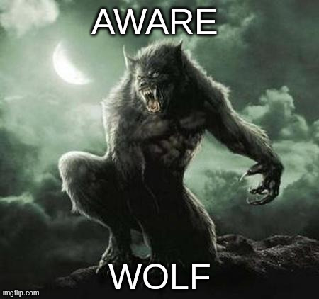 AWARE  WOLF | made w/ Imgflip meme maker