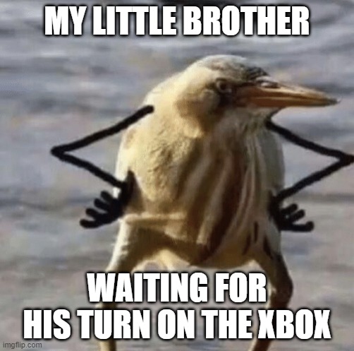Fight for Xbox supremacy!!! | MY LITTLE BROTHER; WAITING FOR HIS TURN ON THE XBOX | image tagged in angry bird,memes,funny,xbox,little brother | made w/ Imgflip meme maker