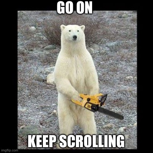 chainsaw bear | GO ON; KEEP SCROLLING | image tagged in memes,chainsaw bear | made w/ Imgflip meme maker