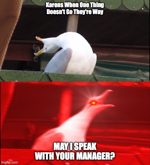 Screaming bird | Karens When One Thing Doesn't Go They're Way; MAY I SPEAK WITH YOUR MANAGER? | image tagged in screaming bird | made w/ Imgflip meme maker