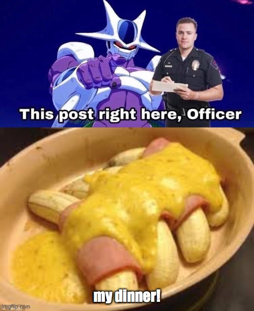 my dinner! | image tagged in this post right here officer | made w/ Imgflip meme maker