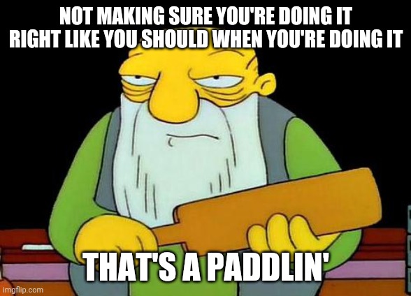 That's a paddlin' Meme | NOT MAKING SURE YOU'RE DOING IT RIGHT LIKE YOU SHOULD WHEN YOU'RE DOING IT; THAT'S A PADDLIN' | image tagged in memes,that's a paddlin' | made w/ Imgflip meme maker