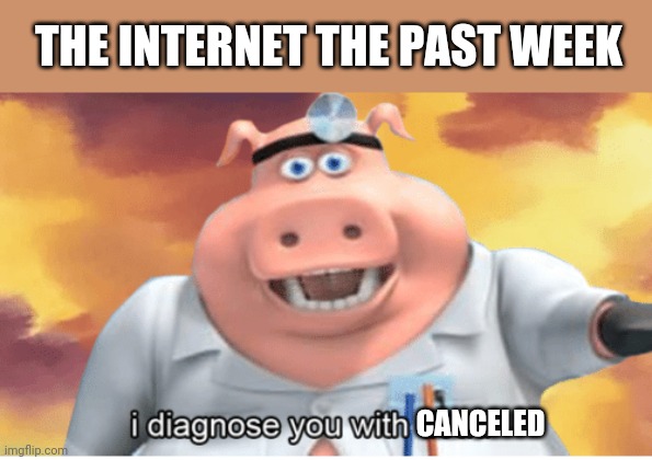 The internet the past week | THE INTERNET THE PAST WEEK; CANCELED | image tagged in i diagnose you with dead | made w/ Imgflip meme maker