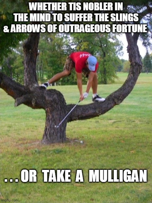 Suffer or Mulligan | WHETHER TIS NOBLER IN THE MIND TO SUFFER THE SLINGS & ARROWS OF OUTRAGEOUS FORTUNE; . . . OR  TAKE  A  MULLIGAN | image tagged in golf | made w/ Imgflip meme maker