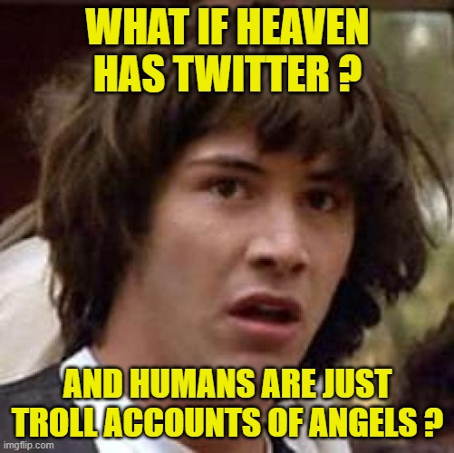 twitter trolls | WHAT IF HEAVEN HAS TWITTER ? AND HUMANS ARE JUST TROLL ACCOUNTS OF ANGELS ? | image tagged in memes,conspiracy keanu,twitter,troll | made w/ Imgflip meme maker