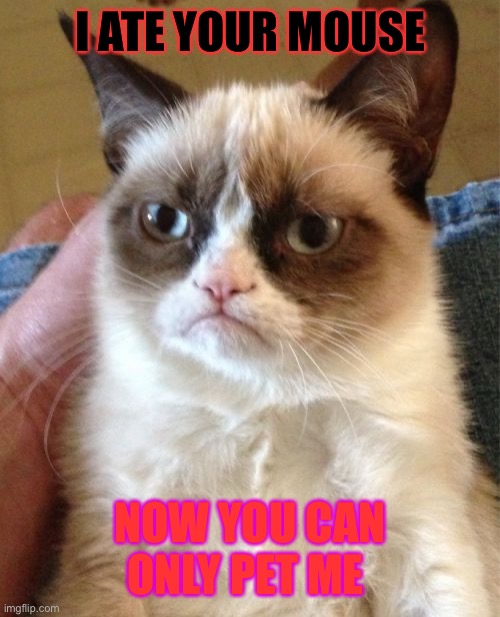 Grumpy Cat Meme | I ATE YOUR MOUSE; NOW YOU CAN ONLY PET ME | image tagged in memes,grumpy cat | made w/ Imgflip meme maker