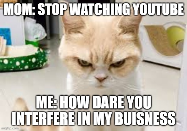 hoho | MOM: STOP WATCHING YOUTUBE; ME: HOW DARE YOU INTERFERE IN MY BUISNESS | image tagged in stop it patrick you're scaring him | made w/ Imgflip meme maker