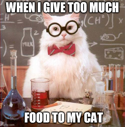 has anyone already done this??? | WHEN I GIVE TOO MUCH; FOOD TO MY CAT | image tagged in science cat | made w/ Imgflip meme maker