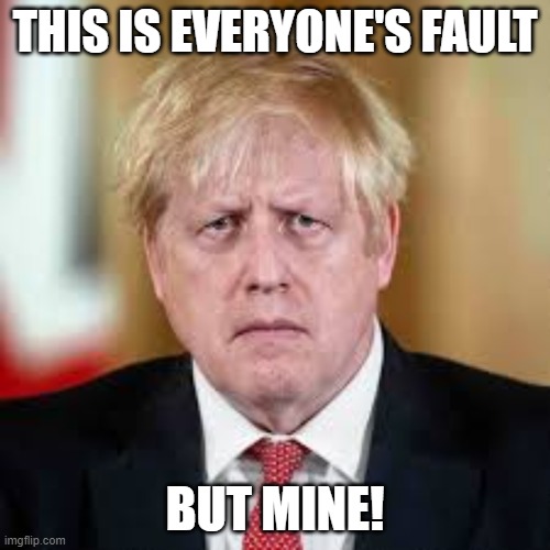 Everyone's Fault Part 3 | THIS IS EVERYONE'S FAULT; BUT MINE! | image tagged in boris johnson,blame,everyone's fault | made w/ Imgflip meme maker