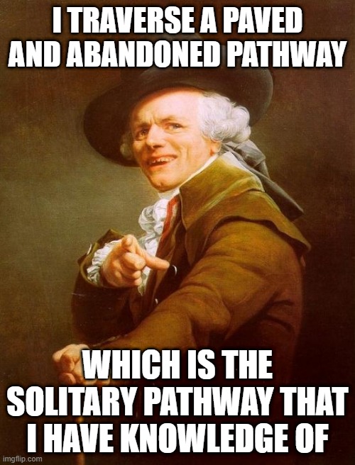 No knowledge of its end destination, and yet I treat it as my personal abode and traverse it in solitude. | I TRAVERSE A PAVED AND ABANDONED PATHWAY; WHICH IS THE SOLITARY PATHWAY THAT I HAVE KNOWLEDGE OF | image tagged in memes,joseph ducreux,green day | made w/ Imgflip meme maker