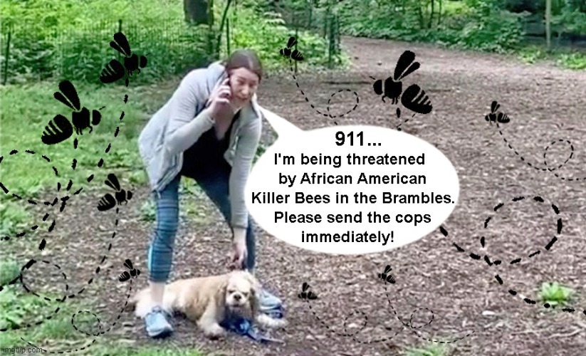 Central Park Karen sees something black and panics once again! | image tagged in racist,karen,panic attack | made w/ Imgflip meme maker