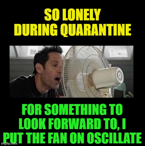 Desperate for something | SO LONELY DURING QUARANTINE; FOR SOMETHING TO LOOK FORWARD TO, I PUT THE FAN ON OSCILLATE | image tagged in funny,quarantine,covid-19,self quarantine,lonely,depression | made w/ Imgflip meme maker