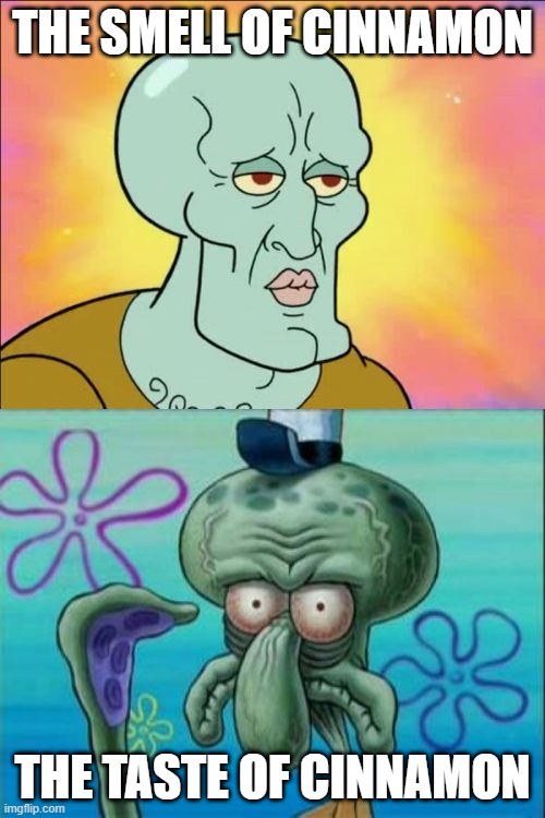 Squidward | THE SMELL OF CINNAMON; THE TASTE OF CINNAMON | image tagged in memes,squidward | made w/ Imgflip meme maker