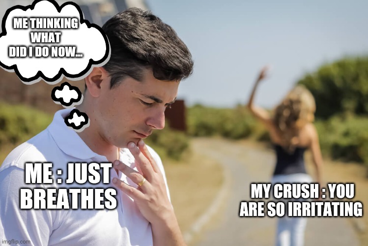 Crush | ME THINKING WHAT DID I DO NOW... MY CRUSH : YOU ARE SO IRRITATING; ME : JUST BREATHES | image tagged in girlfriend walks away | made w/ Imgflip meme maker