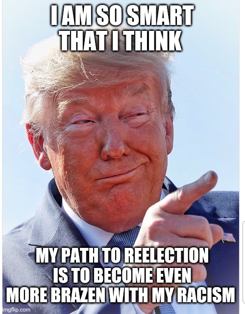 Trump pointing | I AM SO SMART THAT I THINK; MY PATH TO REELECTION IS TO BECOME EVEN MORE BRAZEN WITH MY RACISM | image tagged in trump pointing | made w/ Imgflip meme maker