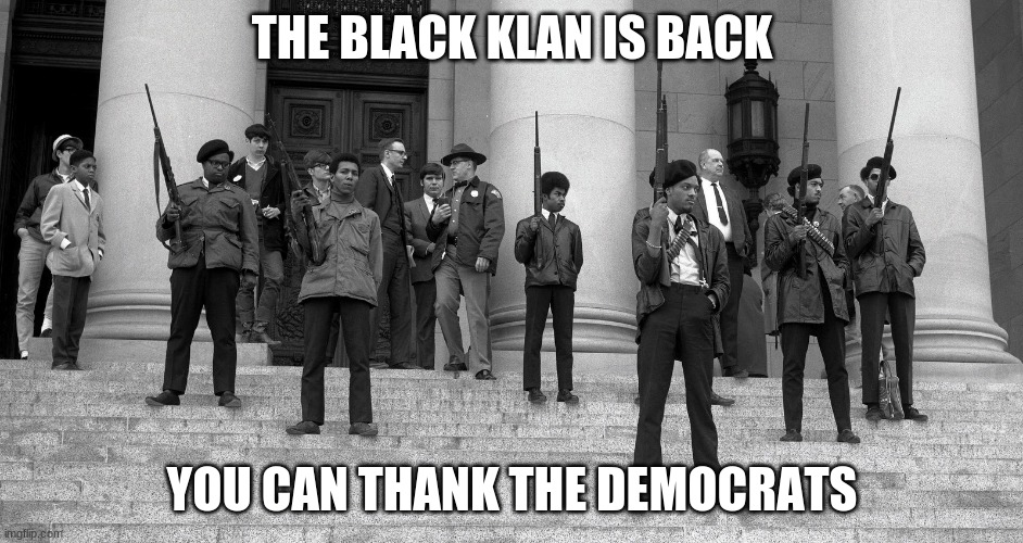 Those Who Do Not Learn History Are Doomed To Repeat It | THE BLACK KLAN IS BACK; YOU CAN THANK THE DEMOCRATS | image tagged in black panther party with guns,those who do not learn history are doomed to repeat it,obama army,we have been here before,black k | made w/ Imgflip meme maker