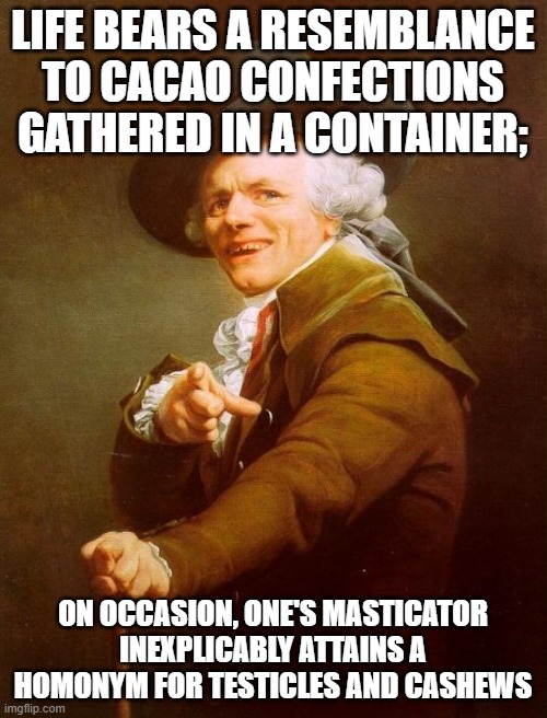 A modification upon an original piece | LIFE BEARS A RESEMBLANCE TO CACAO CONFECTIONS GATHERED IN A CONTAINER; ON OCCASION, ONE'S MASTICATOR INEXPLICABLY ATTAINS A HOMONYM FOR TEST | image tagged in memes,joseph ducreux | made w/ Imgflip meme maker