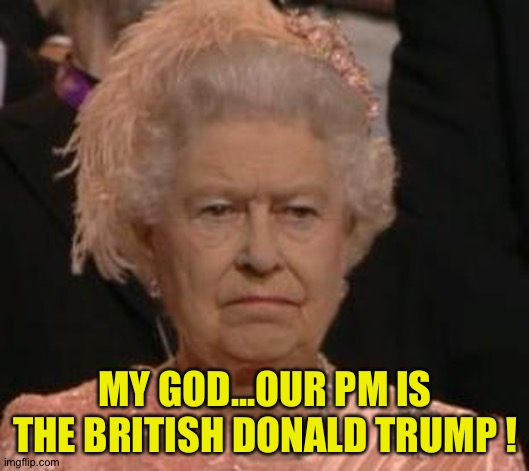queen | MY GOD...OUR PM IS THE BRITISH DONALD TRUMP ! | image tagged in queen | made w/ Imgflip meme maker