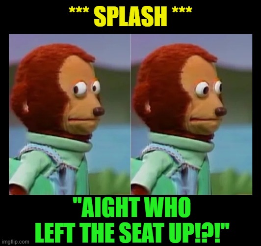 Hehehehe yeah | *** SPLASH ***; "AIGHT WHO LEFT THE SEAT UP!?!" | image tagged in funny,relationships,toilet humor,toilet seat up,family life,potty humor | made w/ Imgflip meme maker