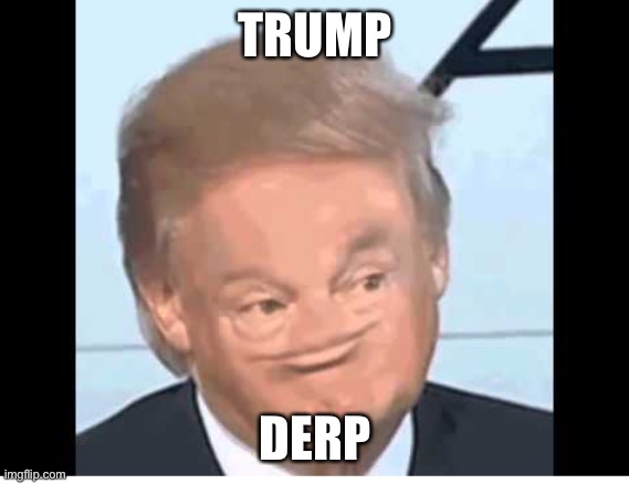 Trump | TRUMP; DERP | image tagged in trumps derp face | made w/ Imgflip meme maker