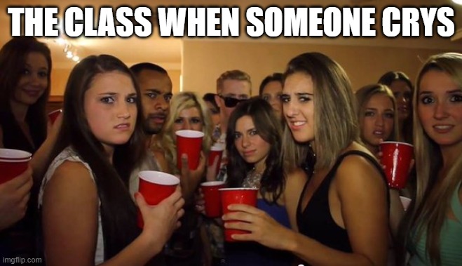 Everyone looking at me | THE CLASS WHEN SOMEONE CRYS | image tagged in everyone looking at me | made w/ Imgflip meme maker