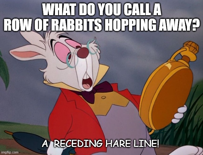Daily Bad Dad Joke of the Day 07/07/2020 |  WHAT DO YOU CALL A ROW OF RABBITS HOPPING AWAY? A  RECEDING HARE LINE! | image tagged in late rabbit | made w/ Imgflip meme maker