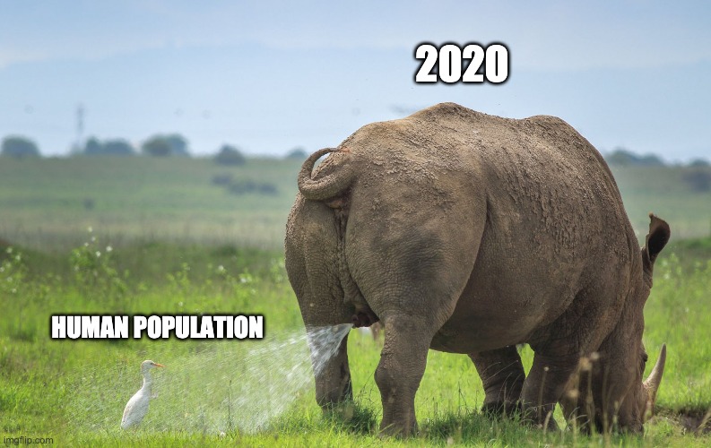 Just another day | 2020; HUMAN POPULATION | image tagged in 2020,just keeps coming,another day another meme,what did we expect,long year,memes | made w/ Imgflip meme maker
