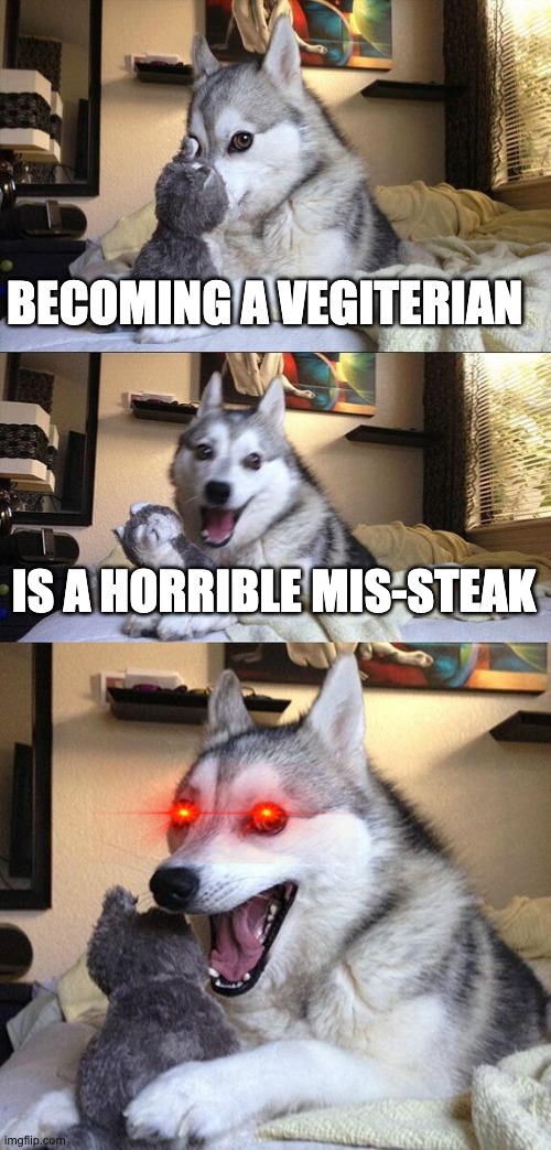Bad Pun Dog Meme | BECOMING A VEGITERIAN; IS A HORRIBLE MIS-STEAK | image tagged in memes,bad pun dog | made w/ Imgflip meme maker