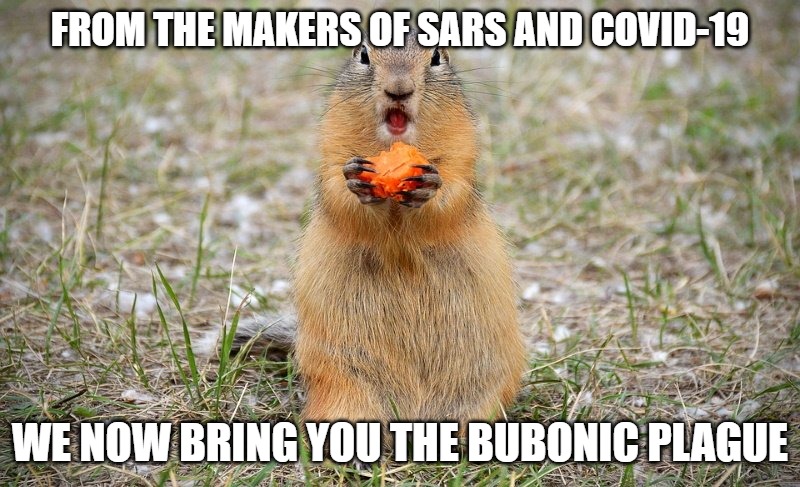 CHINA | FROM THE MAKERS OF SARS AND COVID-19; WE NOW BRING YOU THE BUBONIC PLAGUE | image tagged in plague,memes,fun,sunny,china,2020 | made w/ Imgflip meme maker