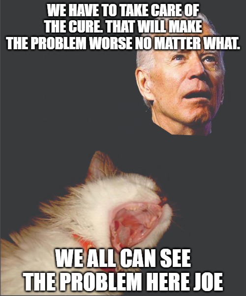 The Cure | WE HAVE TO TAKE CARE OF THE CURE. THAT WILL MAKE THE PROBLEM WORSE NO MATTER WHAT. WE ALL CAN SEE THE PROBLEM HERE JOE | image tagged in memes,cats,biden,fun,funny,2020 | made w/ Imgflip meme maker